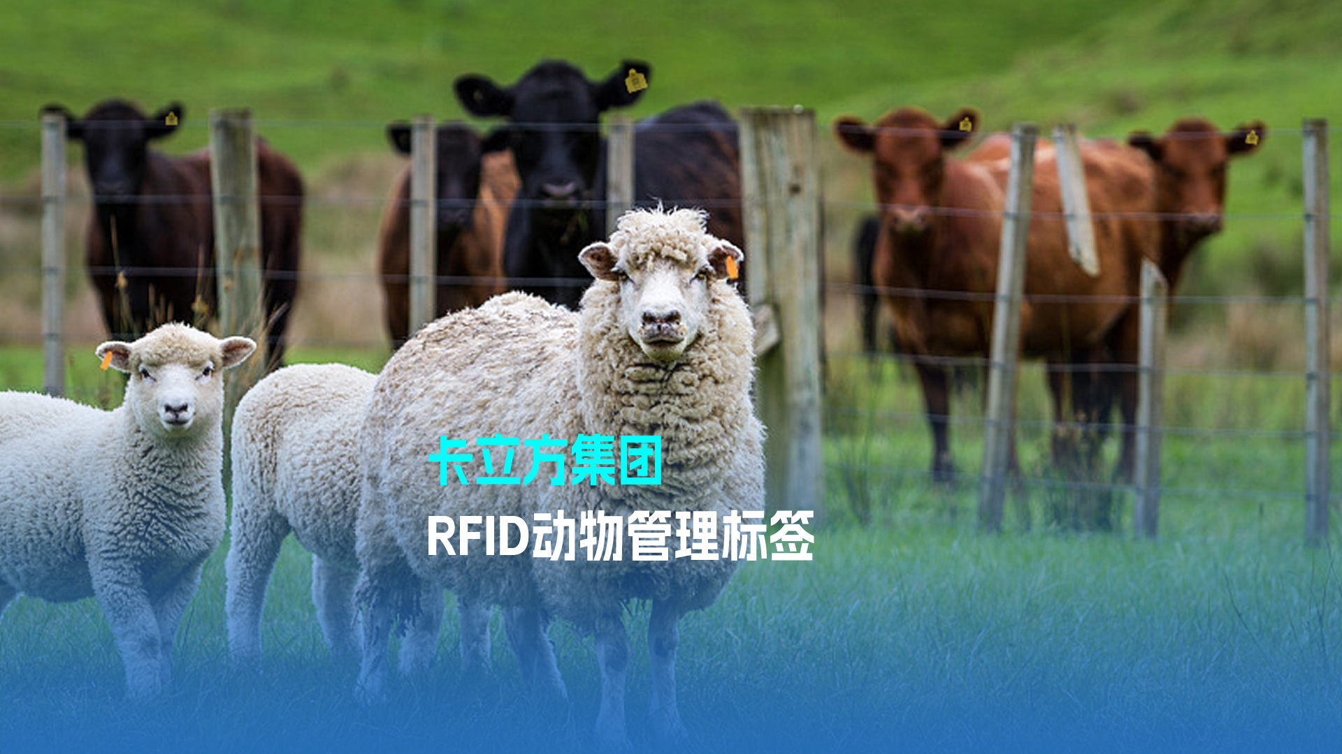 suncitygroup太阳集团官方网站集团